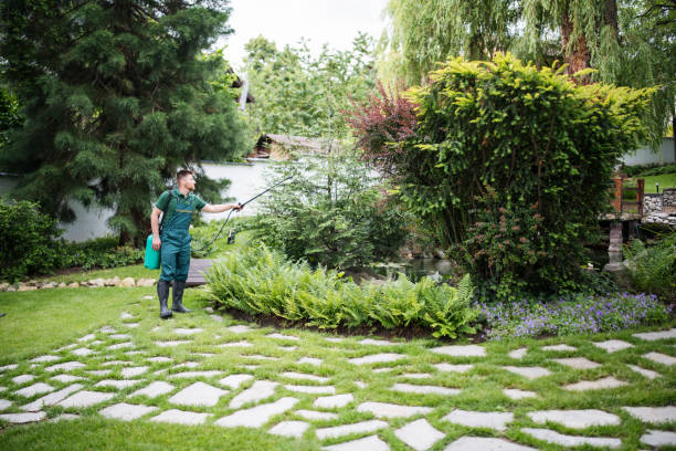Best Exterminator Services  in Haslett, MI