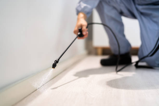 Best Pest Control for Homes  in Haslett, MI