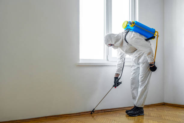 Best Affordable Pest Control Services  in Haslett, MI