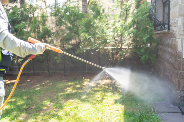 Best Affordable Pest Control Services  in Haslett, MI