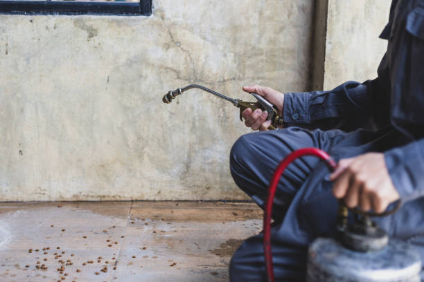 Best Flea Control Services  in Haslett, MI